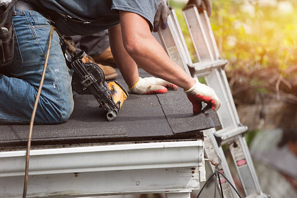 Roof Gutter Cleaning in Wilton Manors, FL